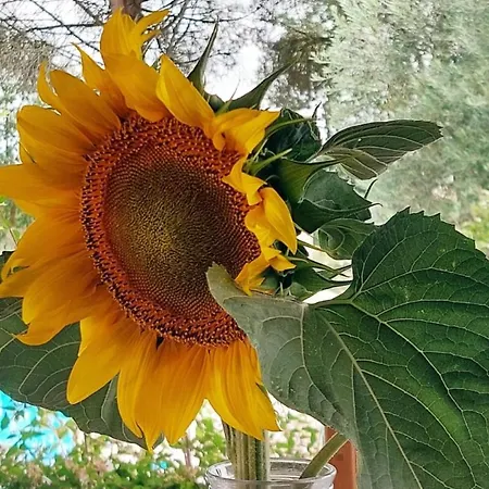 Guest house Chambre Aramis *